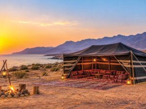 North Batinah Municipality Opens Online Bookings for Winter Campsites
